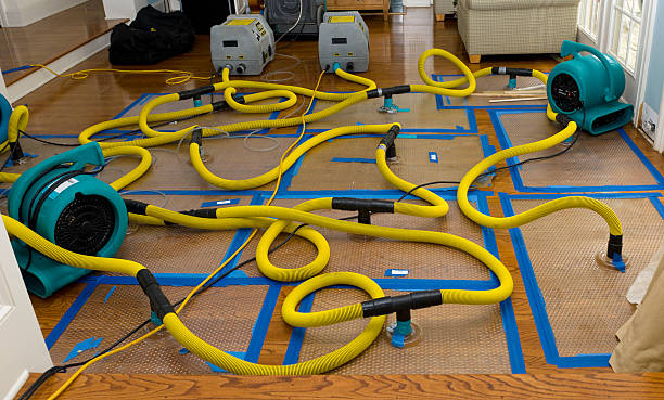 Professional Basement Flood Cleanup technician working in Towaco, NJ